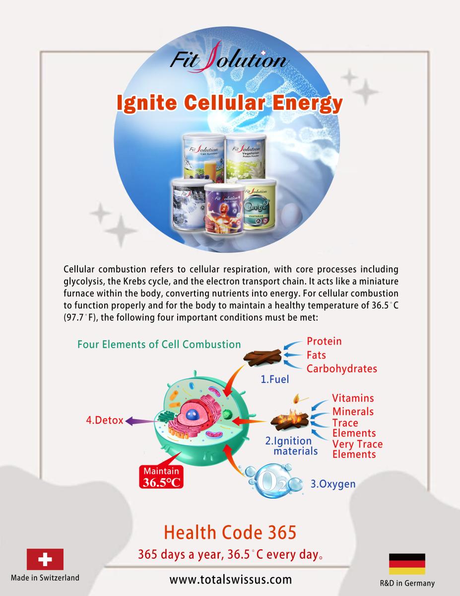 Ignite Cellular Energy by Drinking Fit Solution!圖細胞營養之1