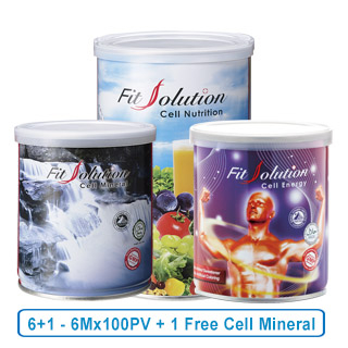 Fit Solution (6+1)  6Mx100PV