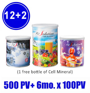 Fit Solution (12+2)-500PV+6Mx100