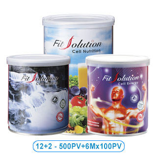 Fit Solution (12+2)-500PV+6Mx100