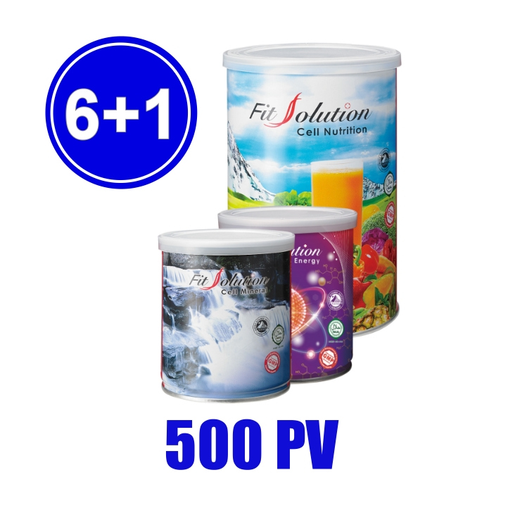 Fit Solution(6＋1) 500PV