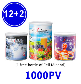 Fit Solution (12+2) Auto - 1000PV