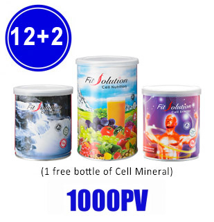 Fit Solution (12+2) - 1000PV