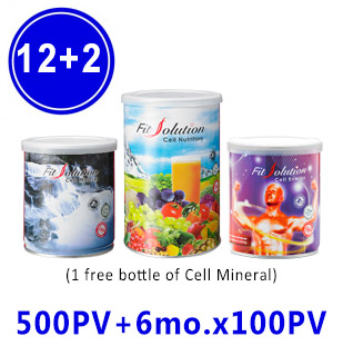 Fit Solution (12+2) Auto - 500PV+6Mx100PV