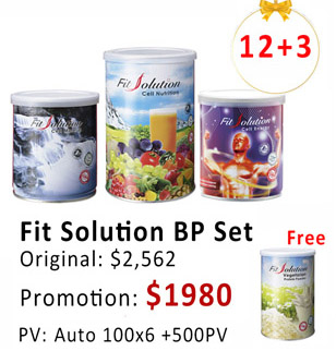 Promo-Fit Solution (12+3) 6Mx100+500PV 